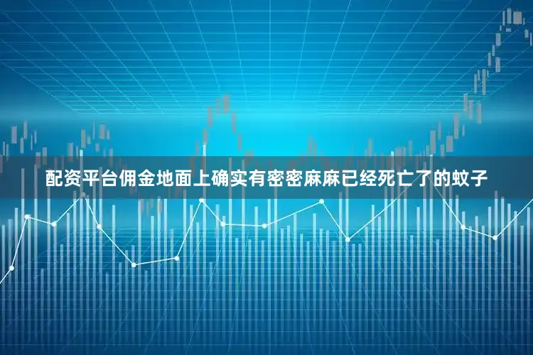 配资平台佣金地面上确实有密密麻麻已经死亡了的蚊子