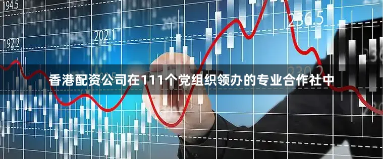 香港配资公司在111个党组织领办的专业合作社中