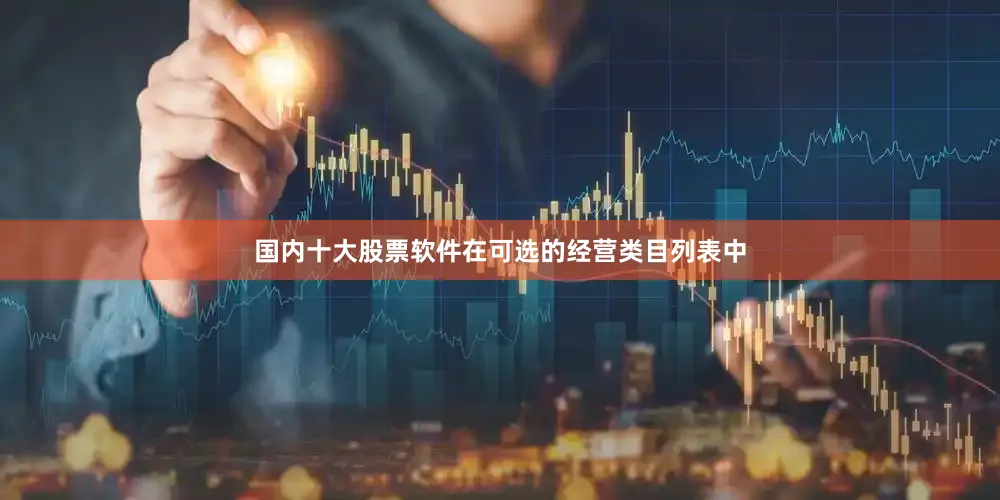 国内十大股票软件在可选的经营类目列表中