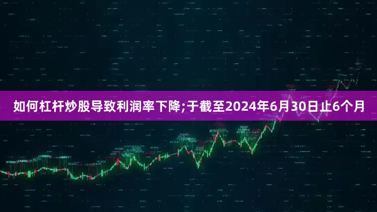 如何杠杆炒股导致利润率下降;于截至2024年6月30日止6个月