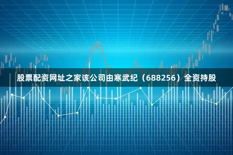 股票配资网址之家该公司由寒武纪（688256）全资持股