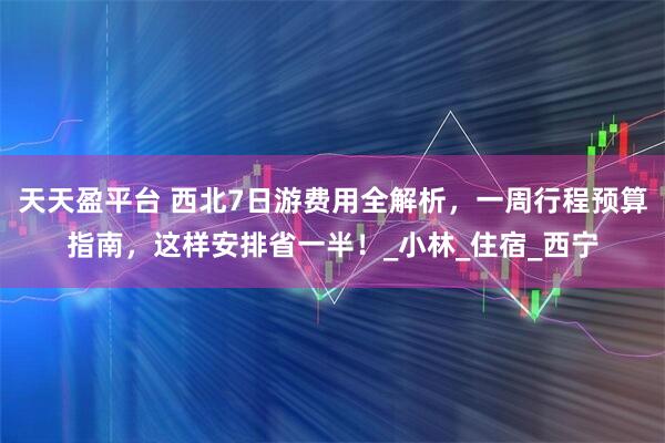 天天盈平台 西北7日游费用全解析，一周行程预算指南，这样安排省一半！_小林_住宿_西宁